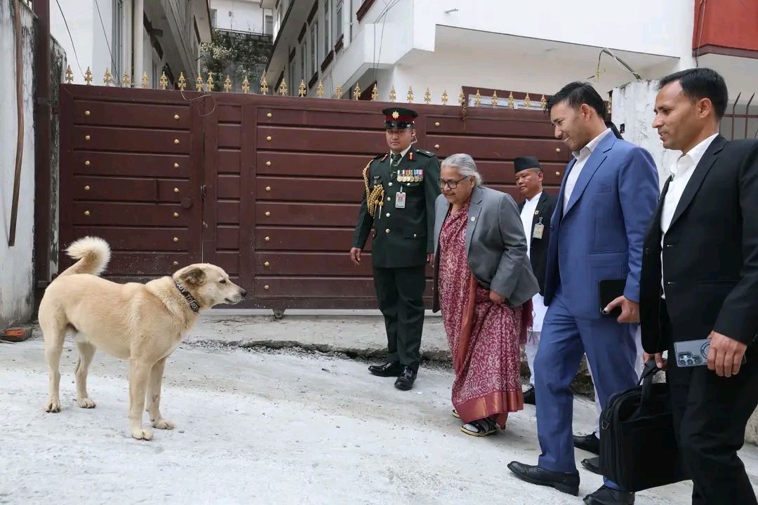 चुनौती चिर्दै सम्मानजनक विदाइ: सुशीला कार्की ले नयाँ नेतृत्वलाई सुम्पिइन् सत्ता